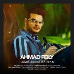 دانلود آهنگ همه جوره هستم احمد فیلی